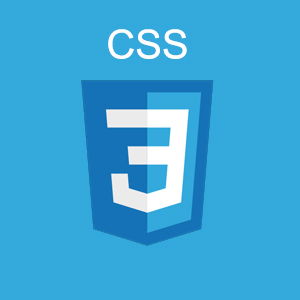 css logo